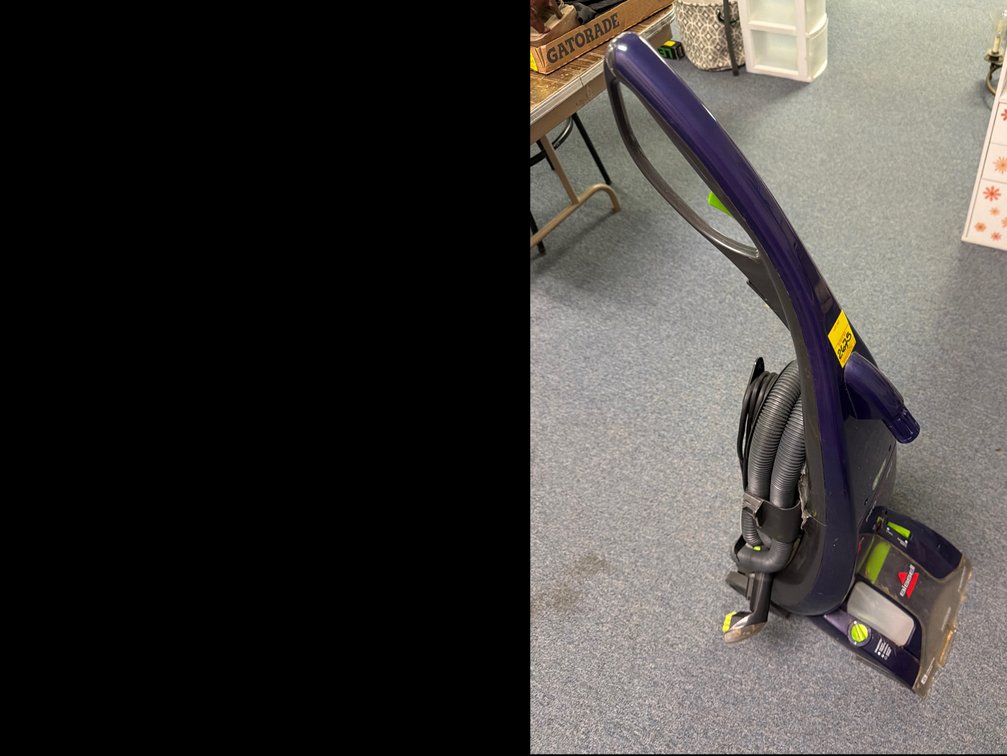Bissell ProHeat Pet Upright Carpet Cleaner