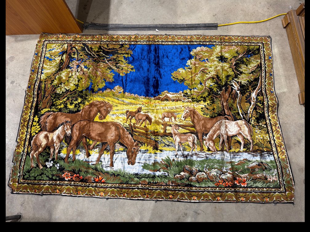 Vintage Horses Landscape Plush Velvet Tapestry Wall Hanging, 4' X 6'