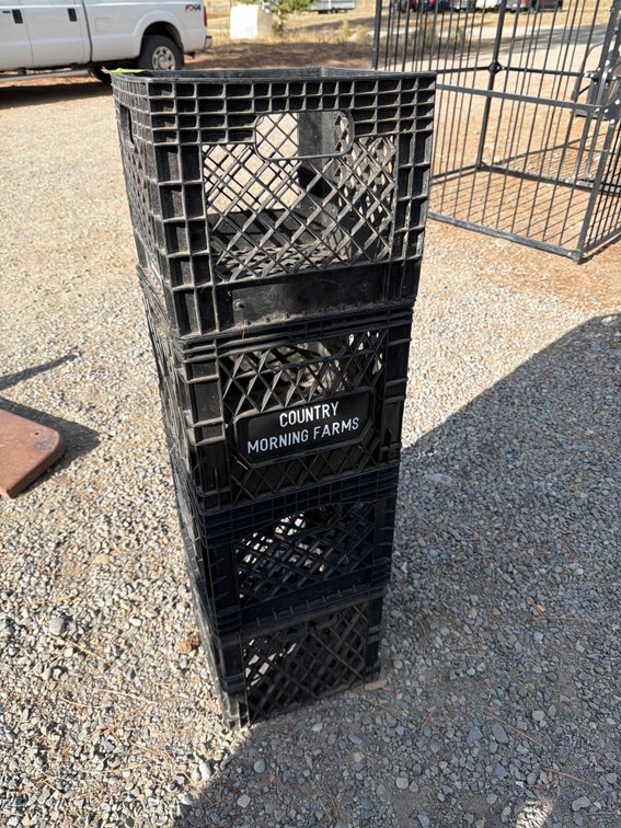 Country Morning Farms Plastic Milk Crate