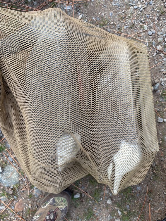 Canada Goose Decoys in Mesh Carry Bag