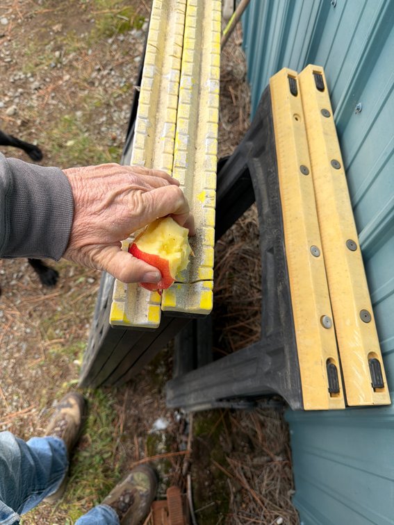 Plastic Folding Sawhorse (4)