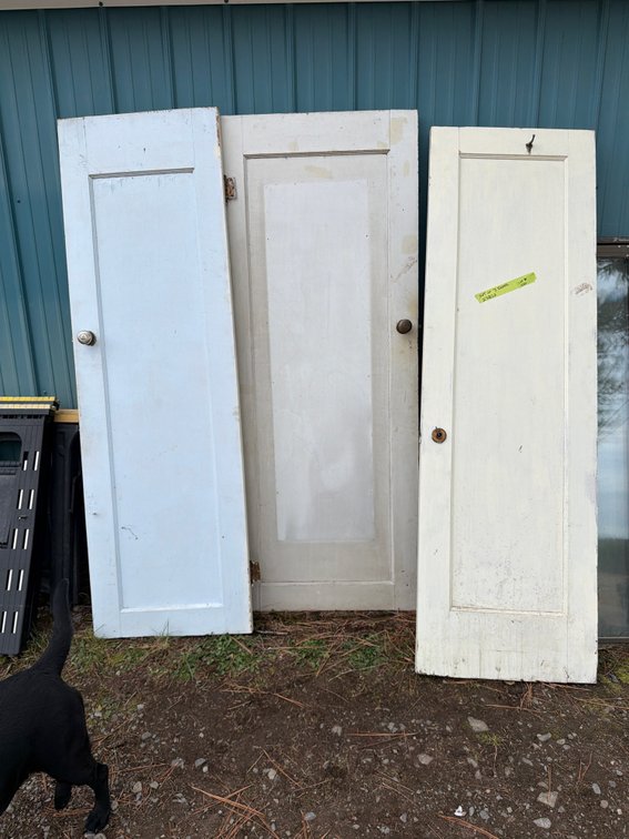 Painted Wood Single-Panel Doors