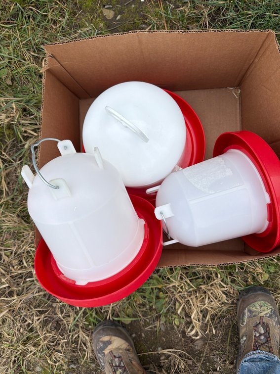 Plastic Poultry Waterer