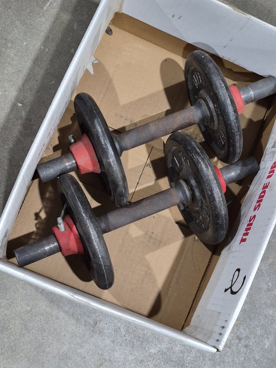 Dumbbell Weights