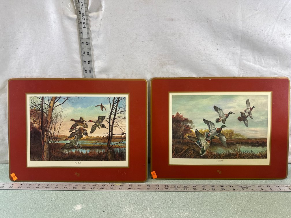 Waterfowl Art Hardboard Placemat