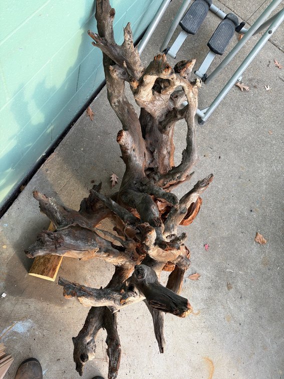 Natural Driftwood Root Stump
