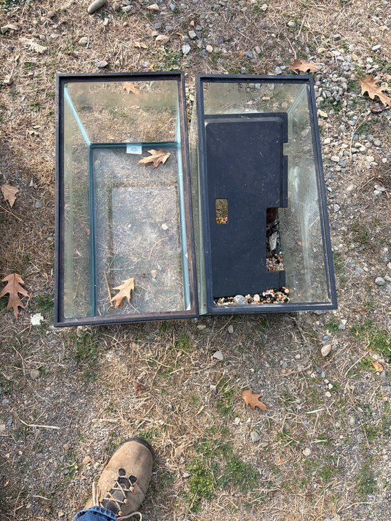 Glass Aquarium with Hood and Gravel