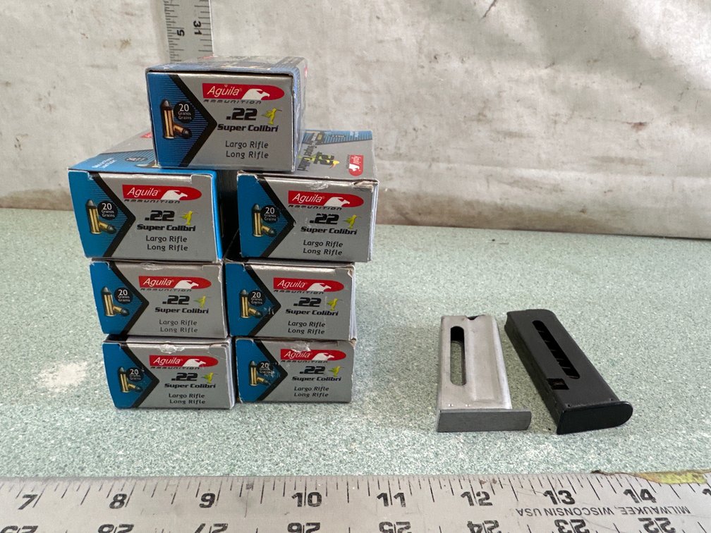 .22 Rimfire Ammunition and Magazines