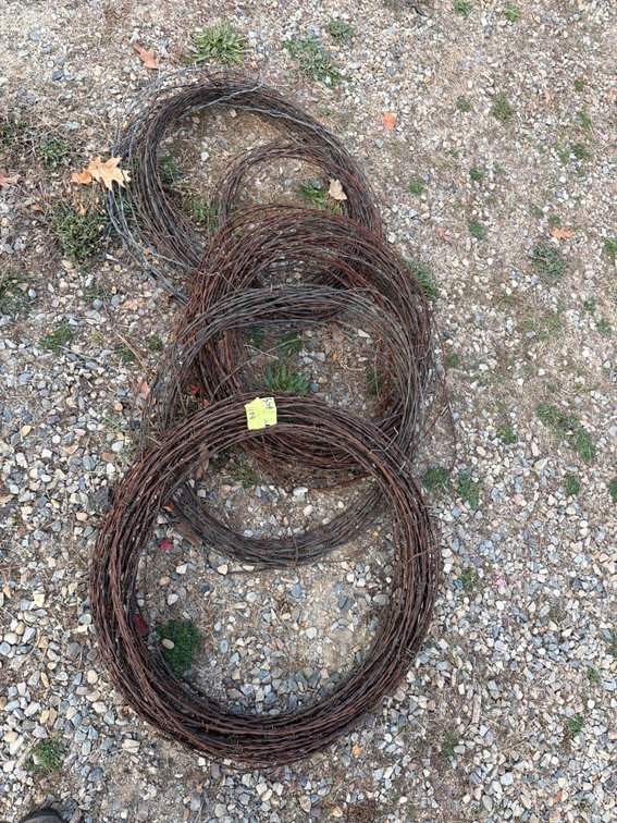 Steel Barbed Wire