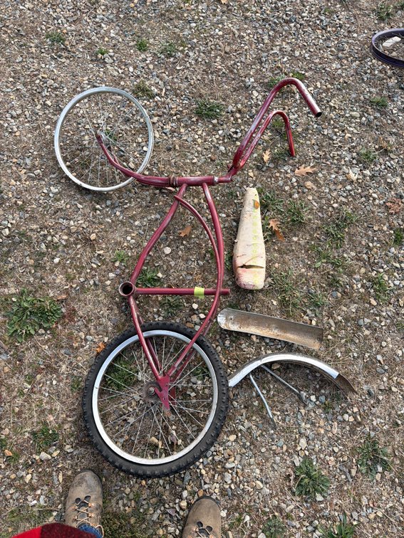 Cruiser Bicycle Frame and Components