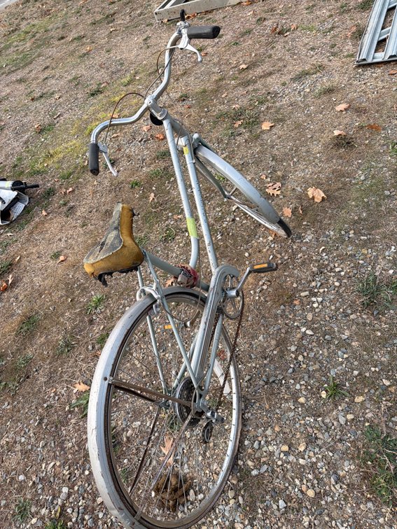 Schwinn World Tourist Step-Through Bicycle