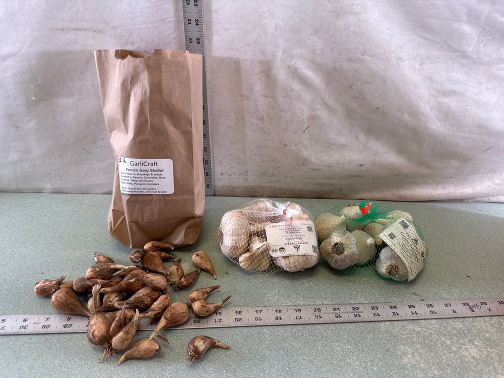Shallot and Garlic Bulbs