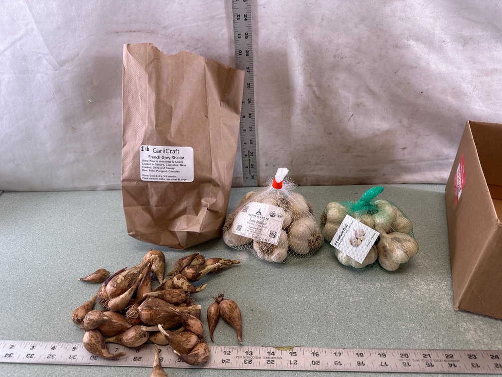 Seed Garlic and Shallot