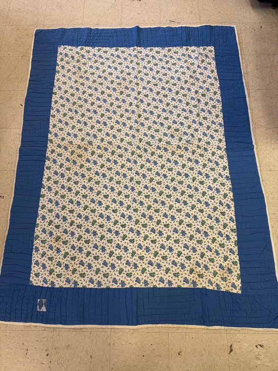 Quilt with Winged Horse Motif and Blue Border