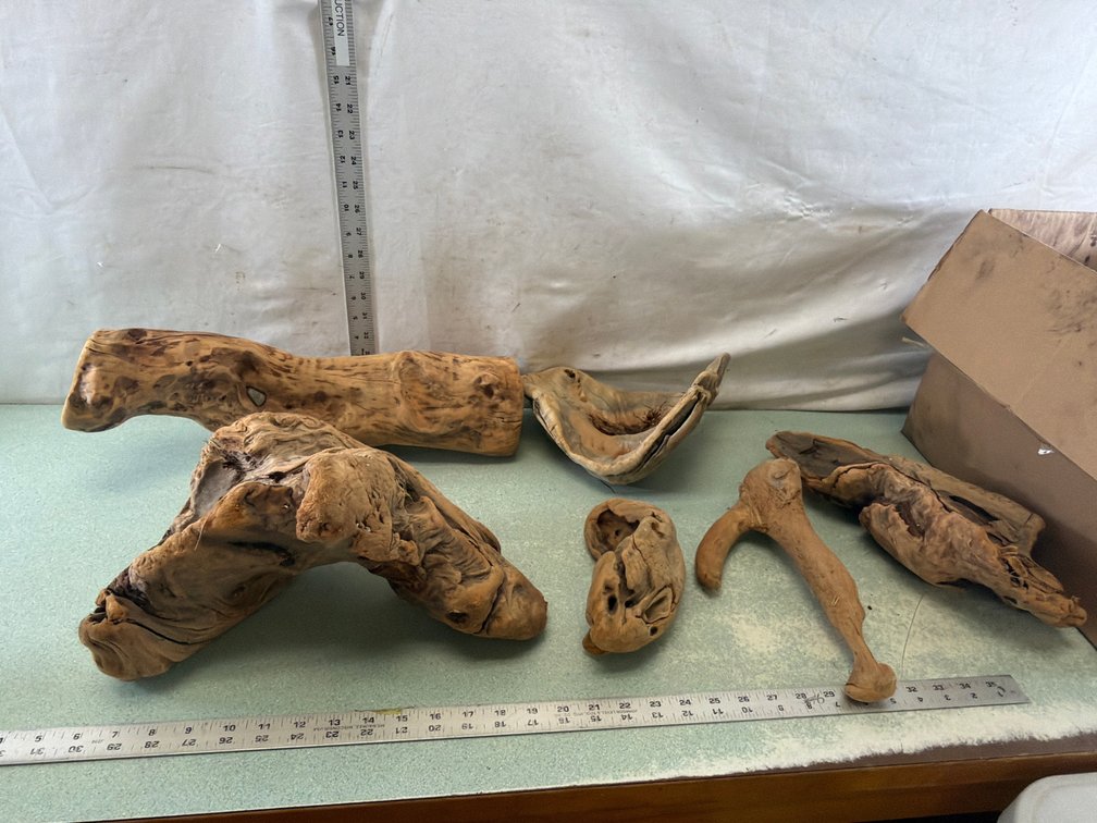 Natural Driftwood and Burl Wood