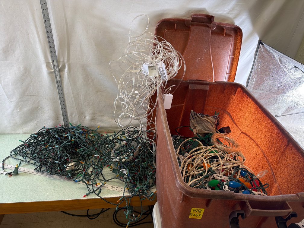 Holiday String Light and Storage Container