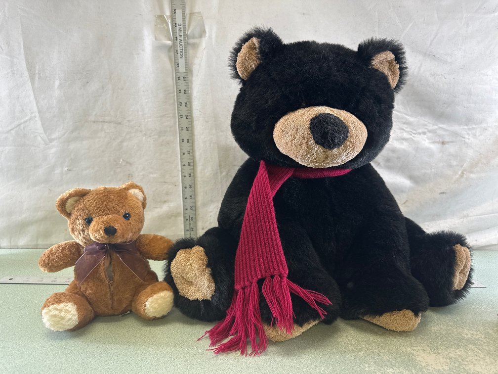 Plush Teddy Bear