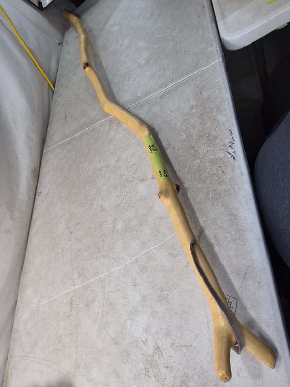 Natural Wood Walking Stick with Forked End