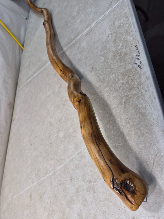 Natural Twisted Wood Walking Stick