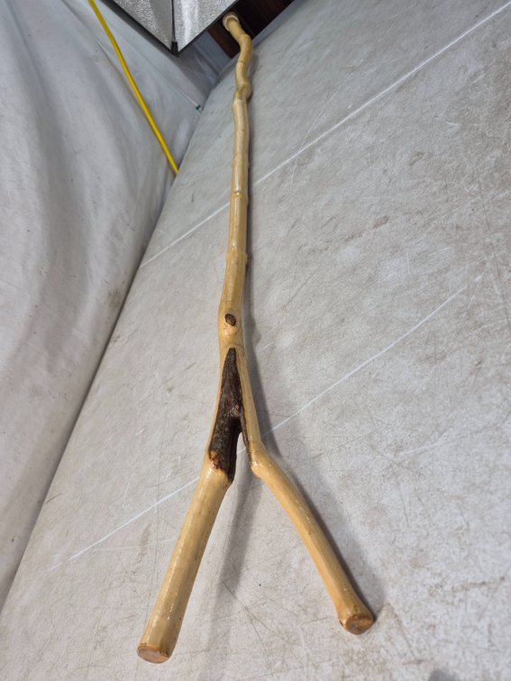 Natural Wood Forked Walking Stick