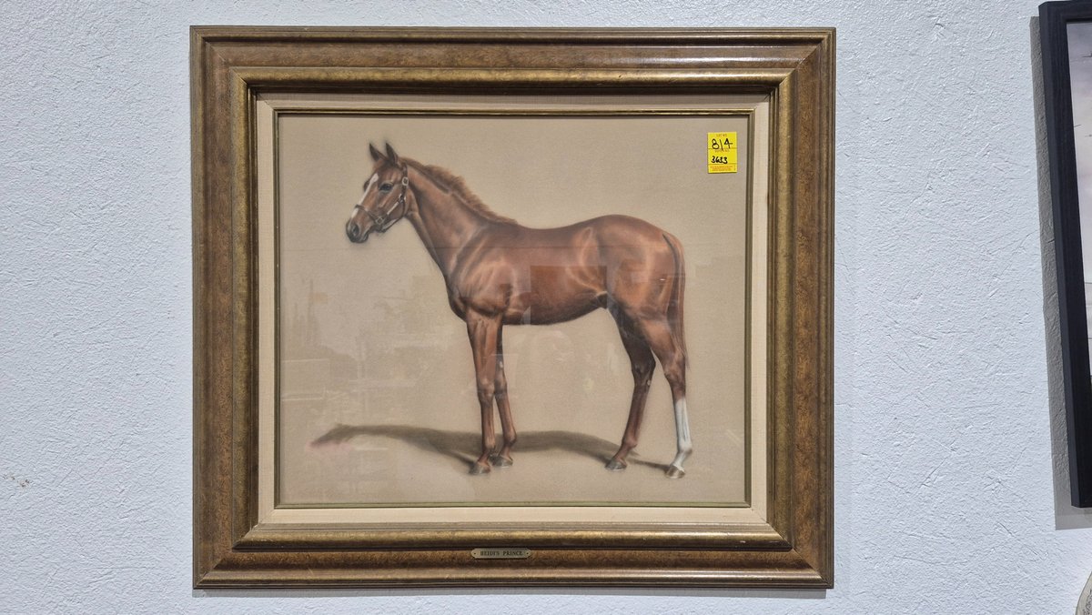 Framed Equine Portrait "Heidi's Prince"