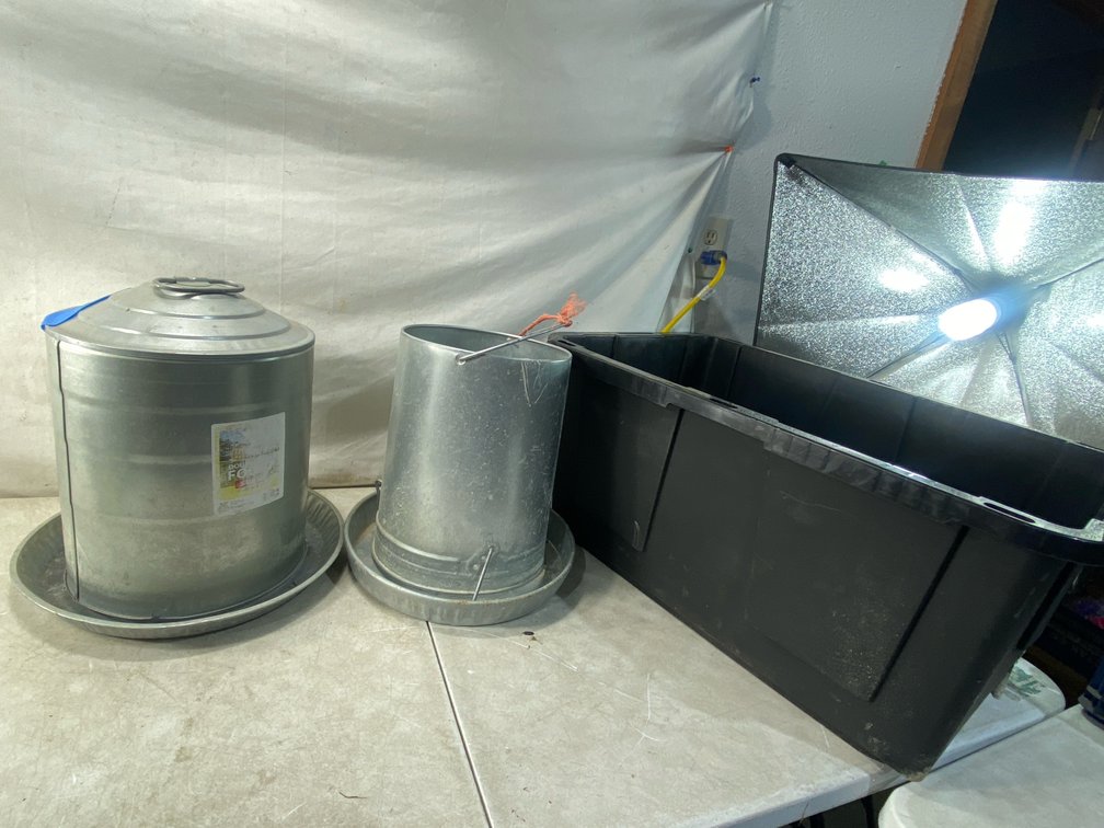 Galvanized Poultry Waterer and Storage Tote