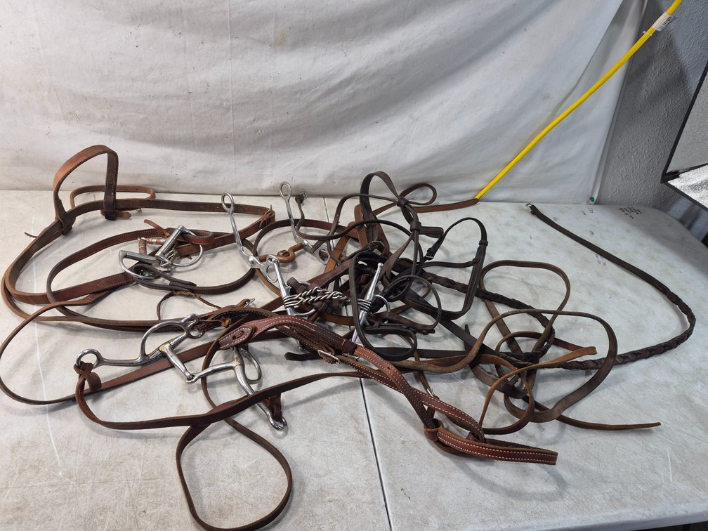 Leather Horse Tack and Bit