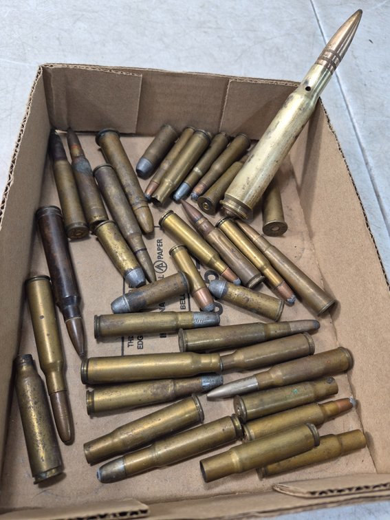 Firearm Ammunition and Brass Casings