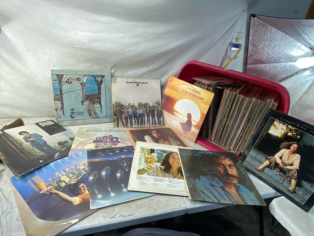 Vinyl LP Record Collection