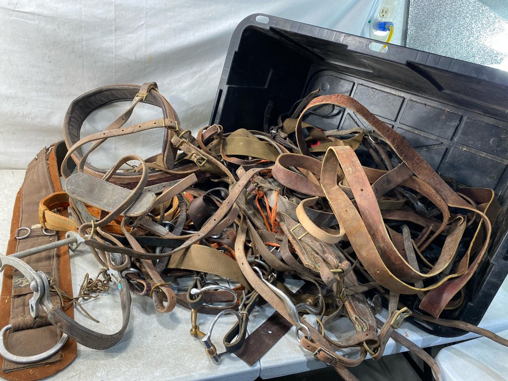 Equestrian Horse Tack and Hardware