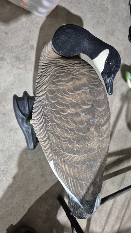 Canada Goose Decoy