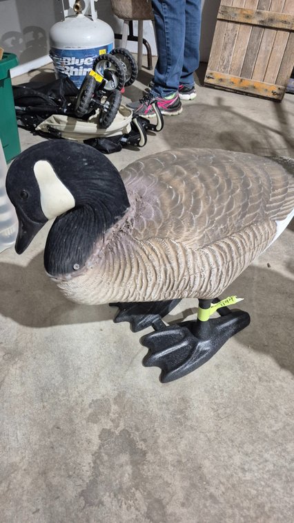 Full-Body Canada Goose Decoy