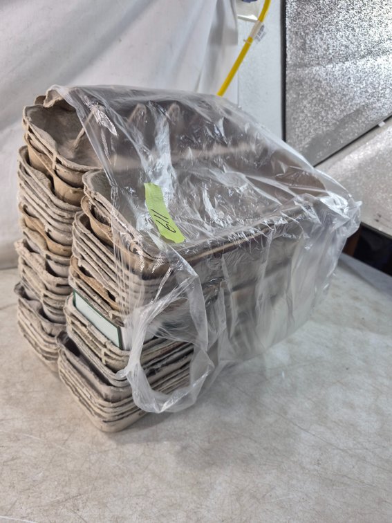 Molded Pulp Produce Tray