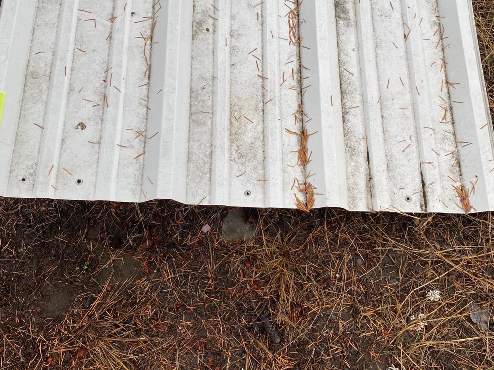 White Corrugated Metal Roofing Panel