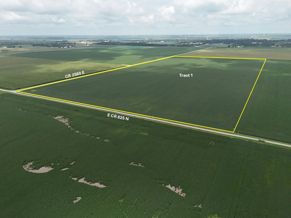 The Burns Farmland Auction Tract 1: 82.21 +/- Surveyed Acres