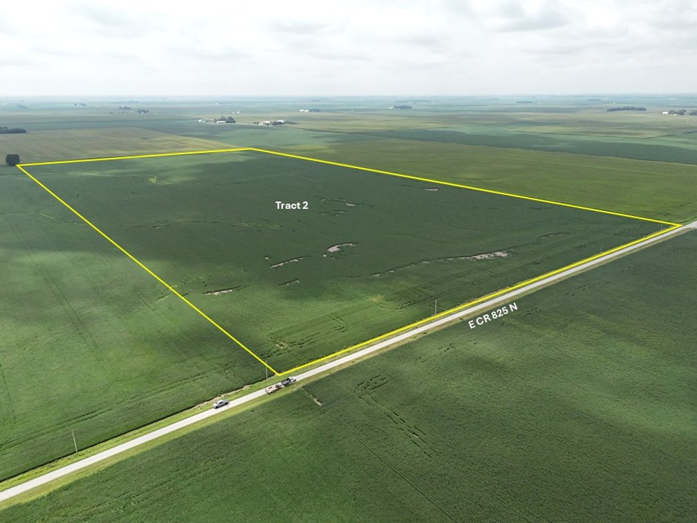 The Burns Farmland Auction Tract 2: 82.23 +/- Surveyed Acres