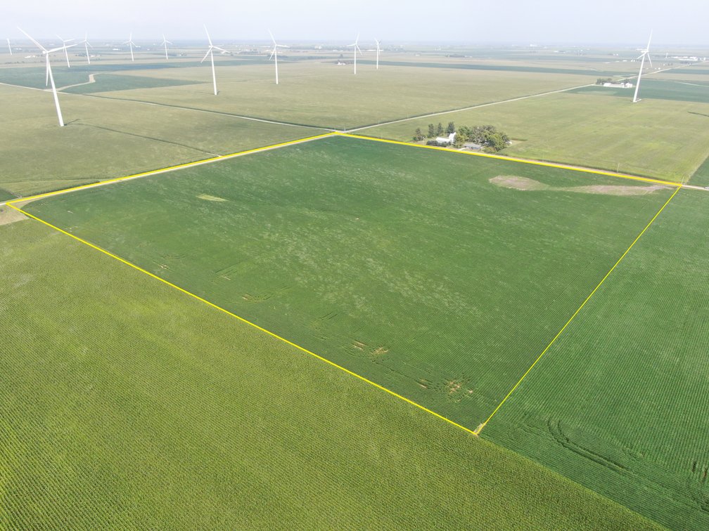 The Ringenberg Farmland Auction Tract 2: 40 +/- Acres