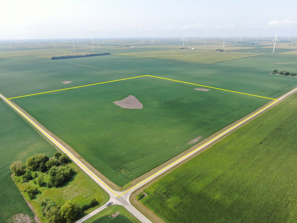 The Ringenberg Farmland Auction Tract 3: 40 +/- Acres