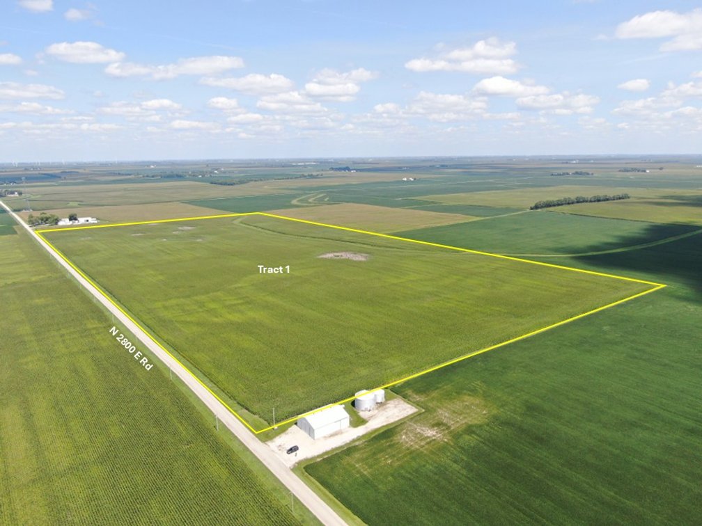 The Driscoll Trust Farmland Auction Tract 1: 80 +/- Real Estate Tax Acres