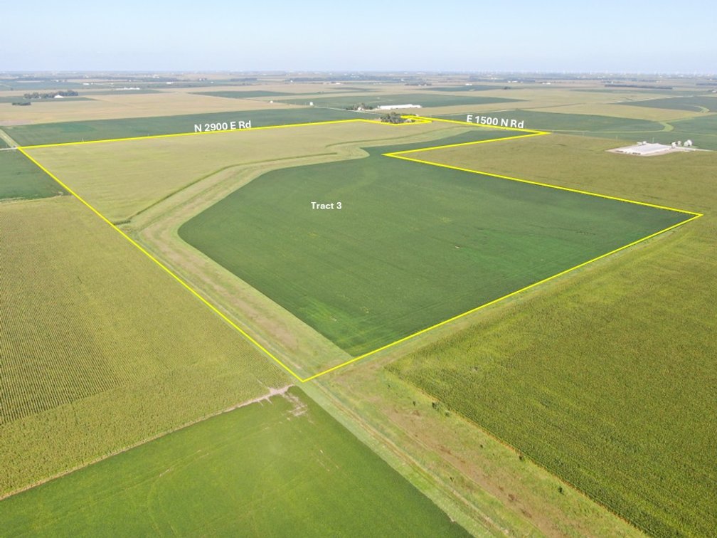 The Driscoll Trust Farmland Auction Tract 3: 118.33 +/- Real Estate Tax Acres