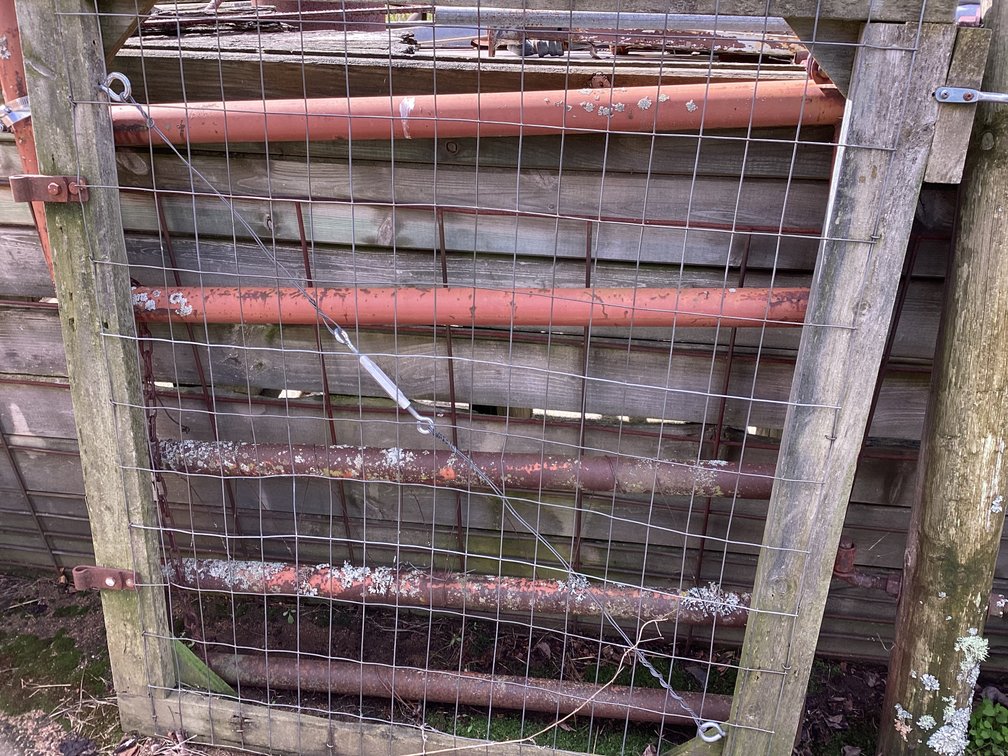 Steel gate 44” x 52x