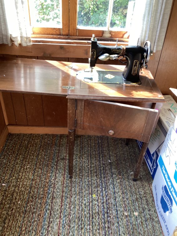 Domestic brand antique sewing machine