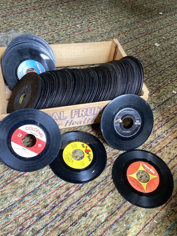 100 plus records from 50’s  -60’s.  45’s