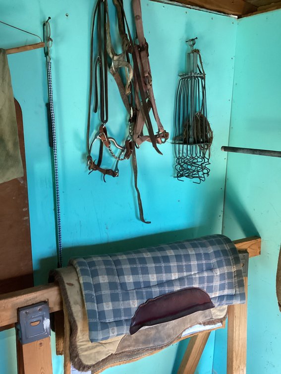 Horse tack with blankets and misc.