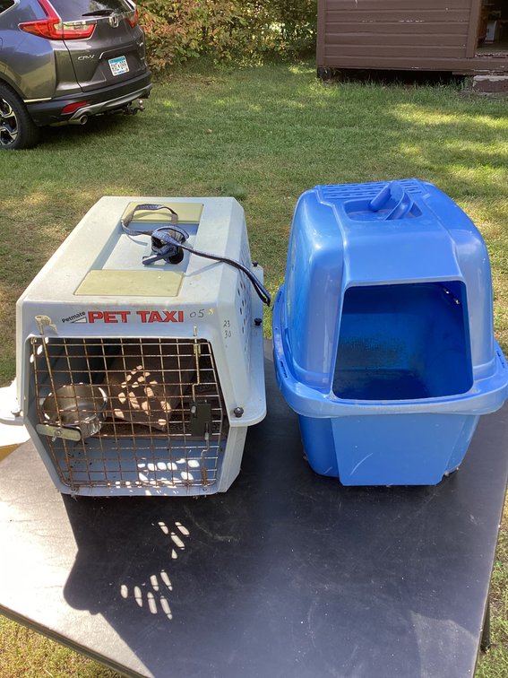 Pet carrier and litter box