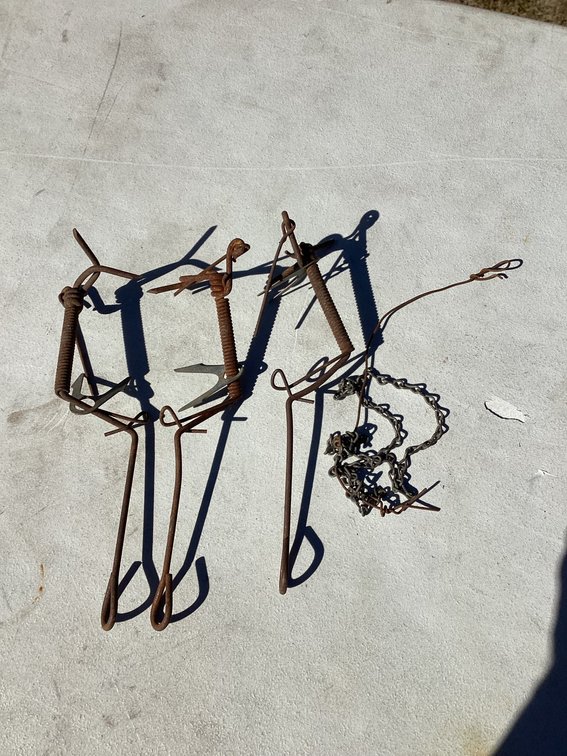 3 animal traps