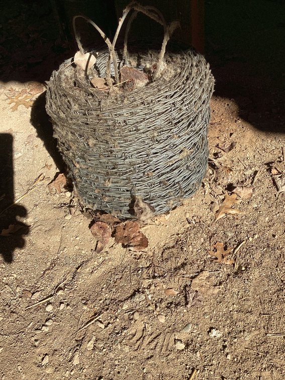 Roll of barbed wire
