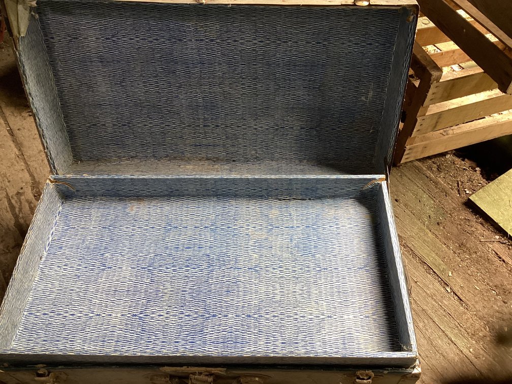Travel trunk