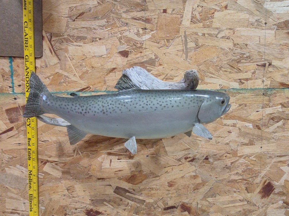 Taxidermy