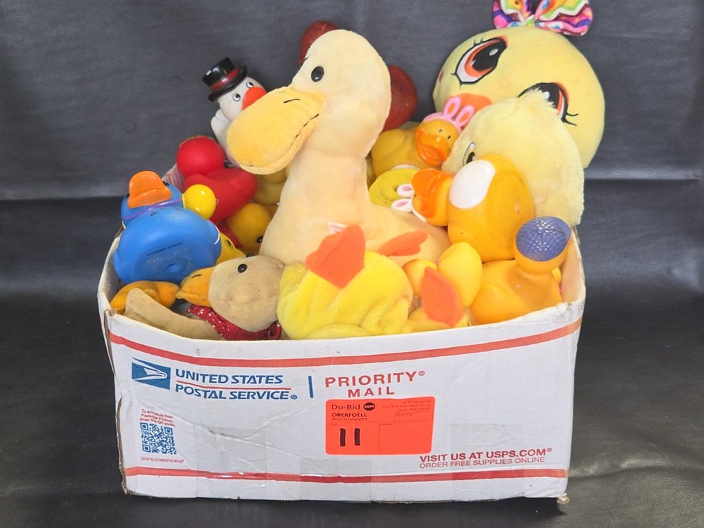 Rubber Ducks Lot